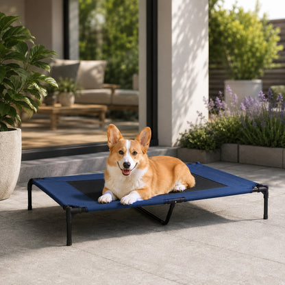 Dog lying on a blue pet bed outdoors with plants and furniture in the background